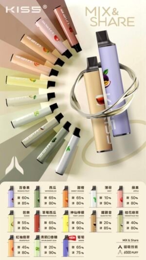 KIS5凱斯,一次性/拋棄式電子煙,6500口多種口味隨心混搭 可充電